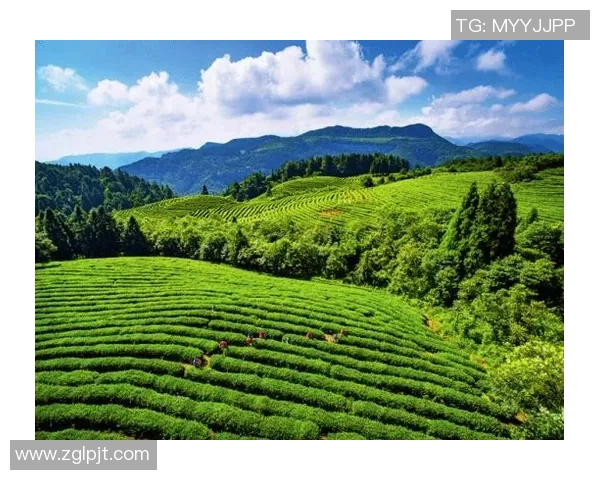 辽宁本钢加快产业转型升级推动钢铁绿色智能制造高质量发展